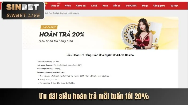Hoàn trả tiền cược hàng ngày cho người chơi thể thao